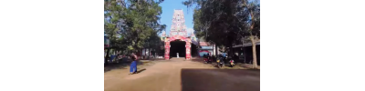 விசவத்தனை முருகன் கோயில் - பண்ணாகம் 